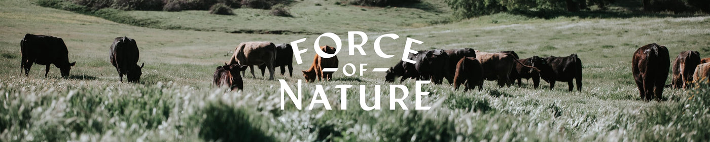 Cattle grazing in a field with 'Force of Nature' text overlay