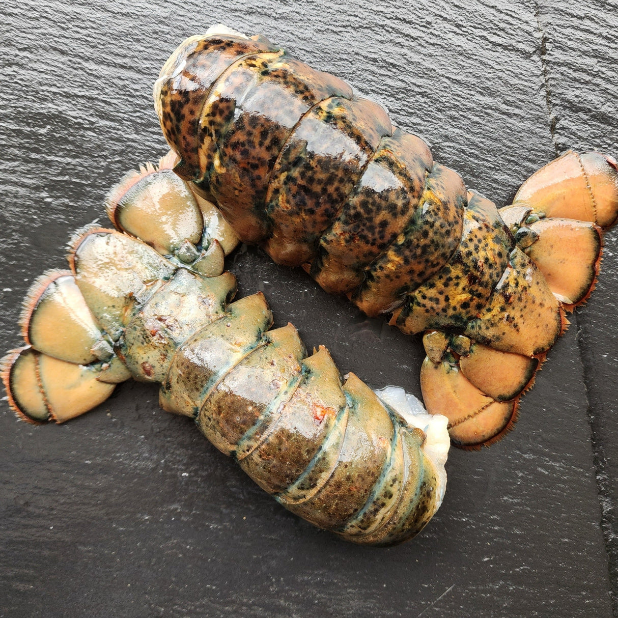 Lobster Tails